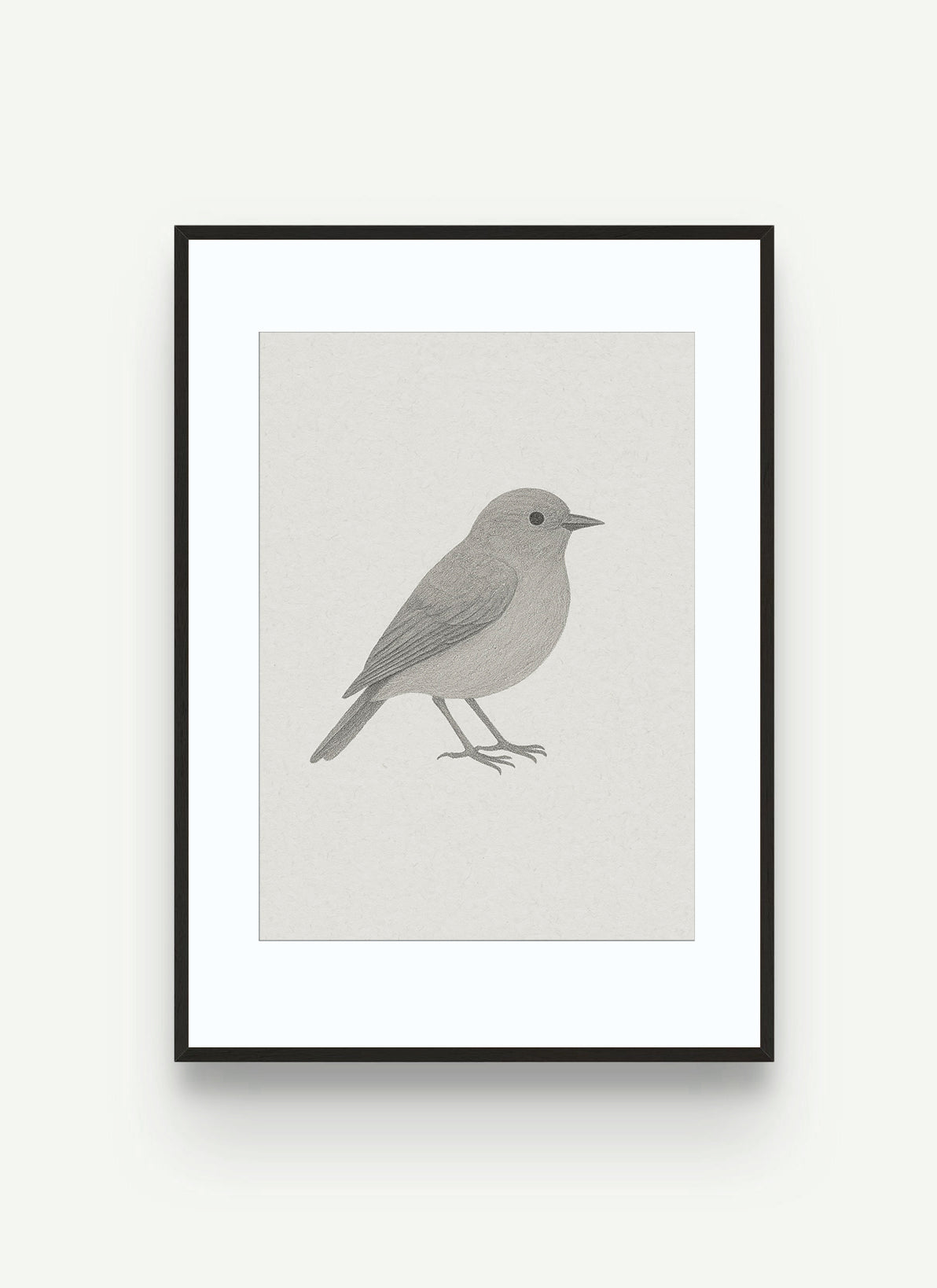 SILENT FINCH NO. 02