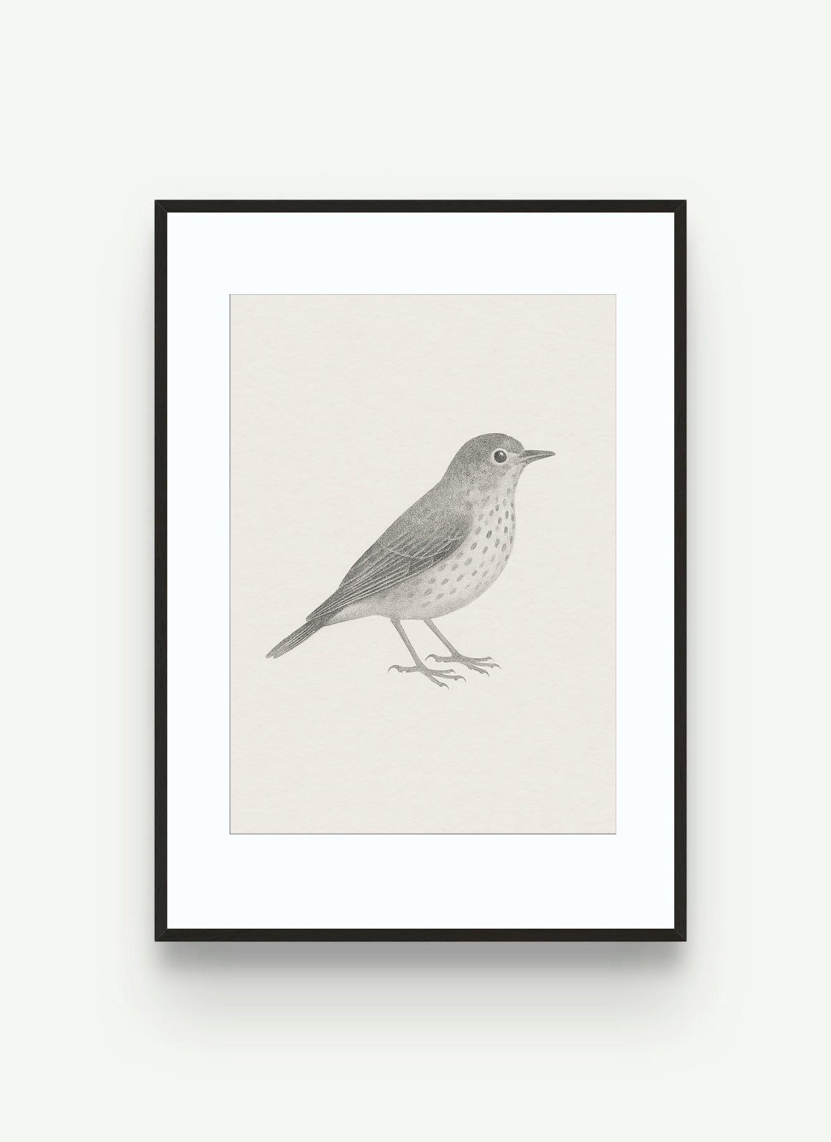 SILENT FINCH NO. 01