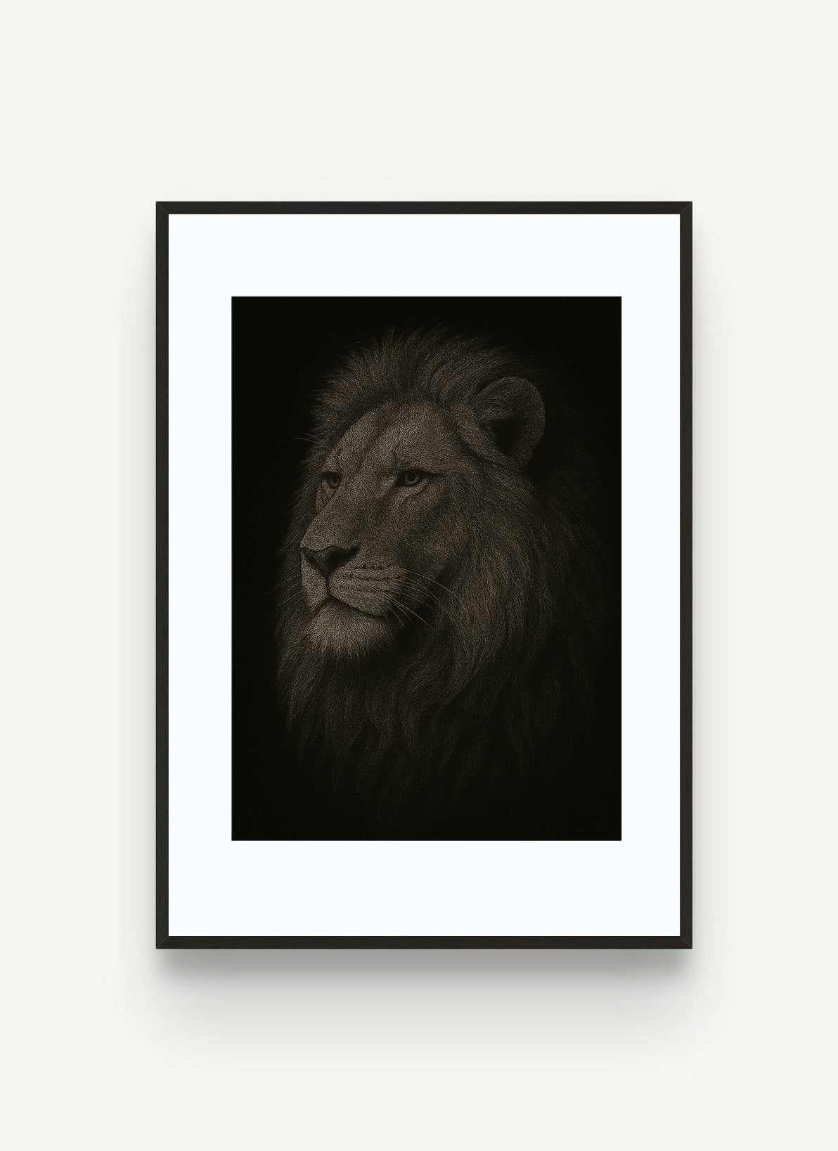 Full Digital Download [Bundle | 70 Plus Prints]