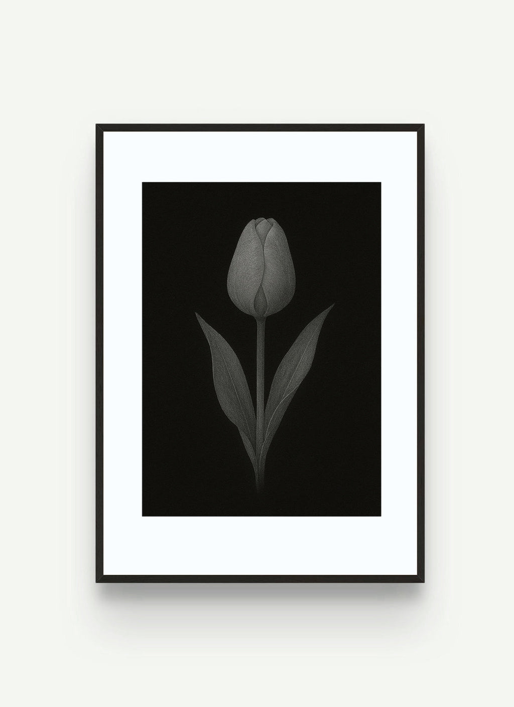 Nature ( Collections ) Digital Download [40 plus Prints]