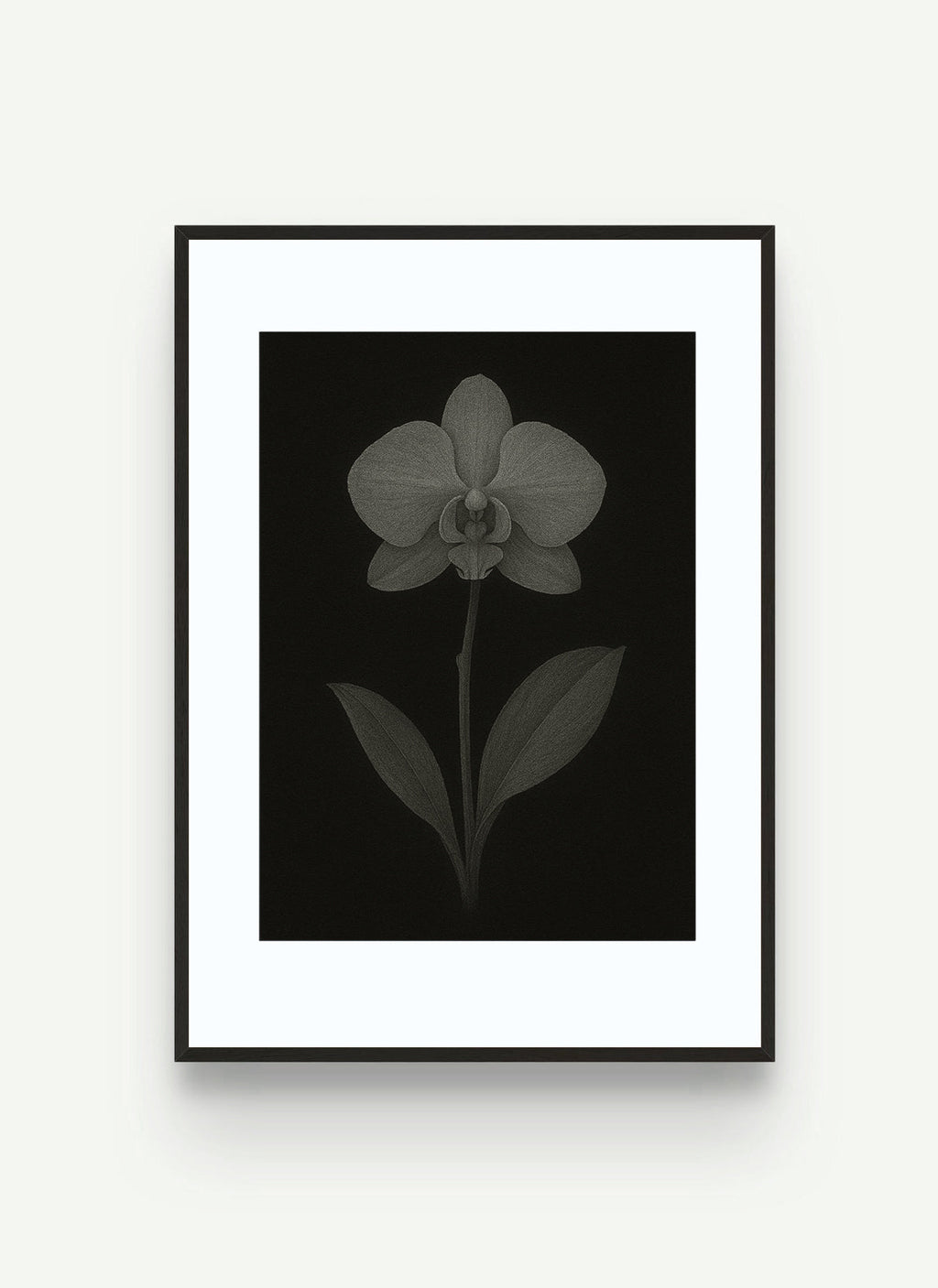 Nature ( Collections ) Digital Download [40 plus Prints]