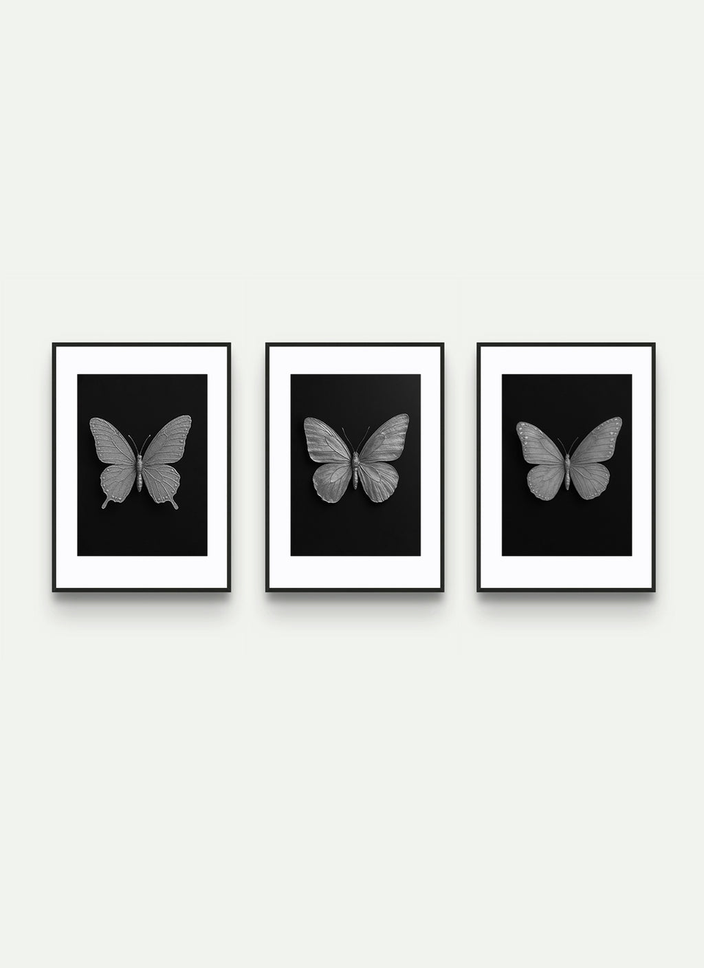 WING [ Bundle | 3 ]