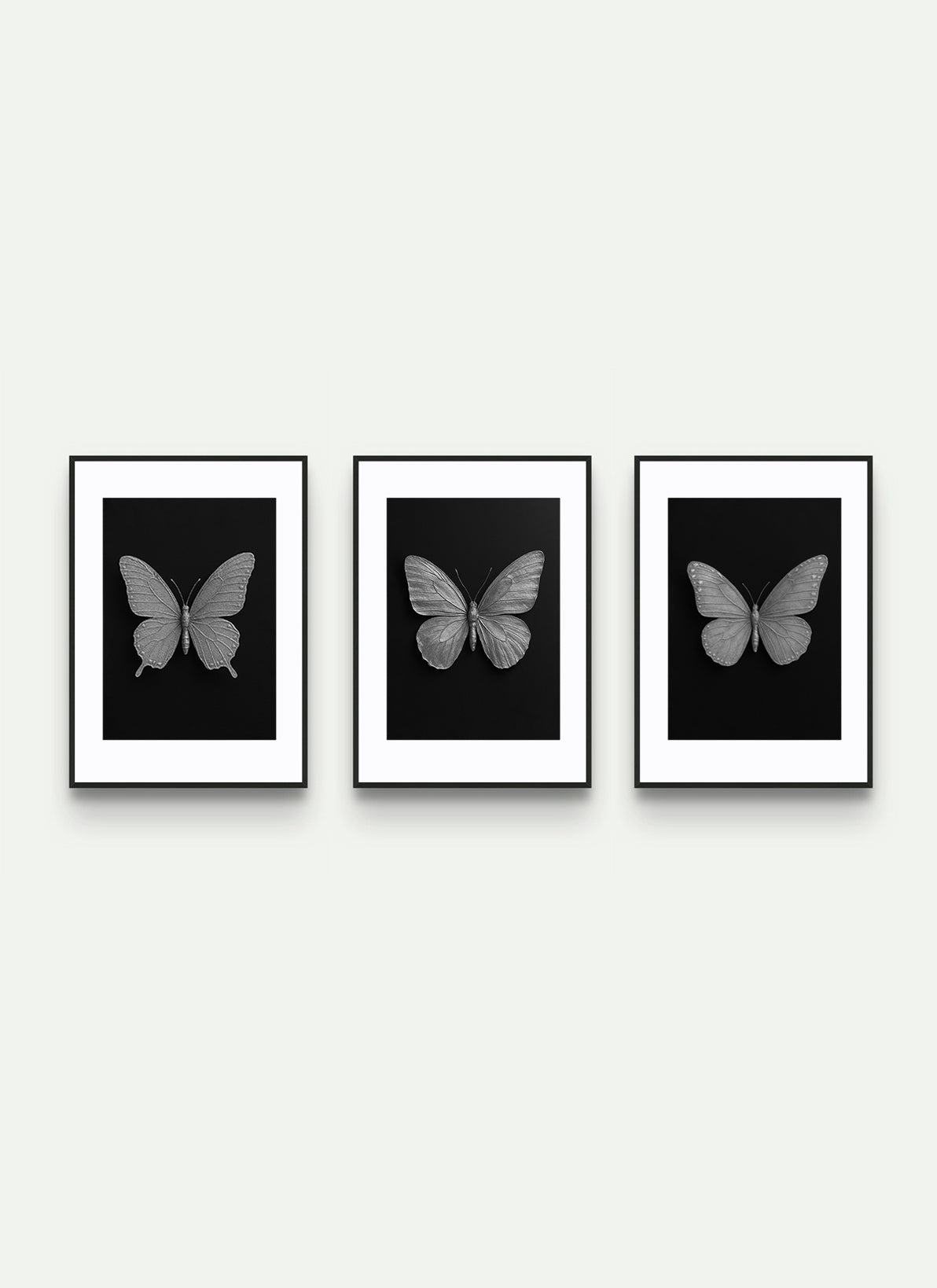 WING [ Bundle | 3 ]